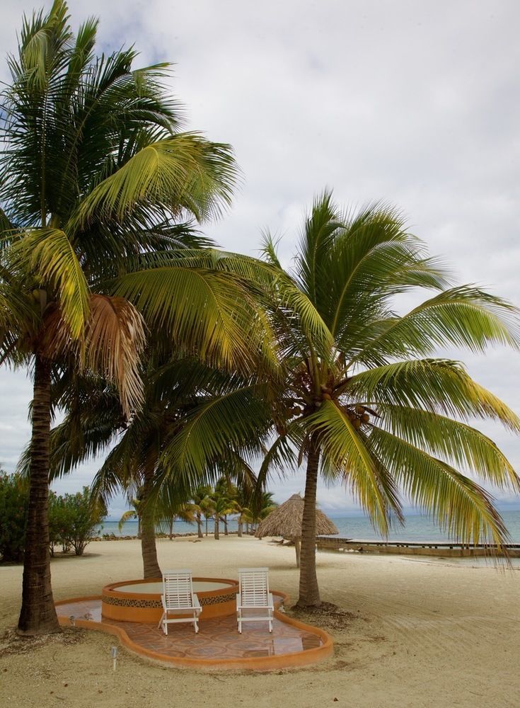 Royal Belize 호텔 Thatch Caye 외부 사진