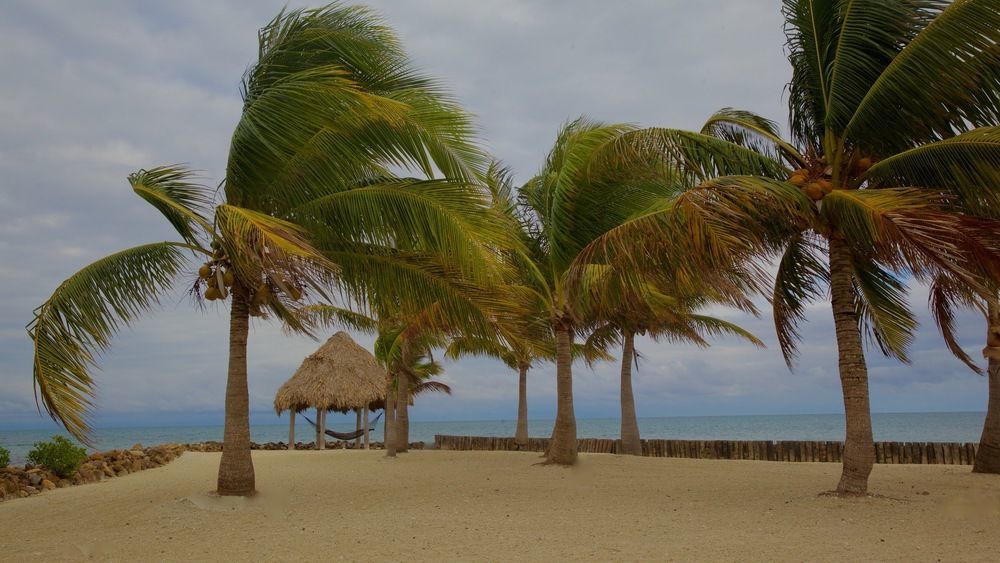 Royal Belize 호텔 Thatch Caye 외부 사진