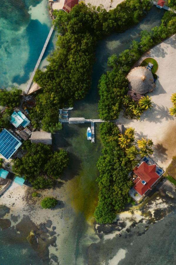 Royal Belize 호텔 Thatch Caye 외부 사진